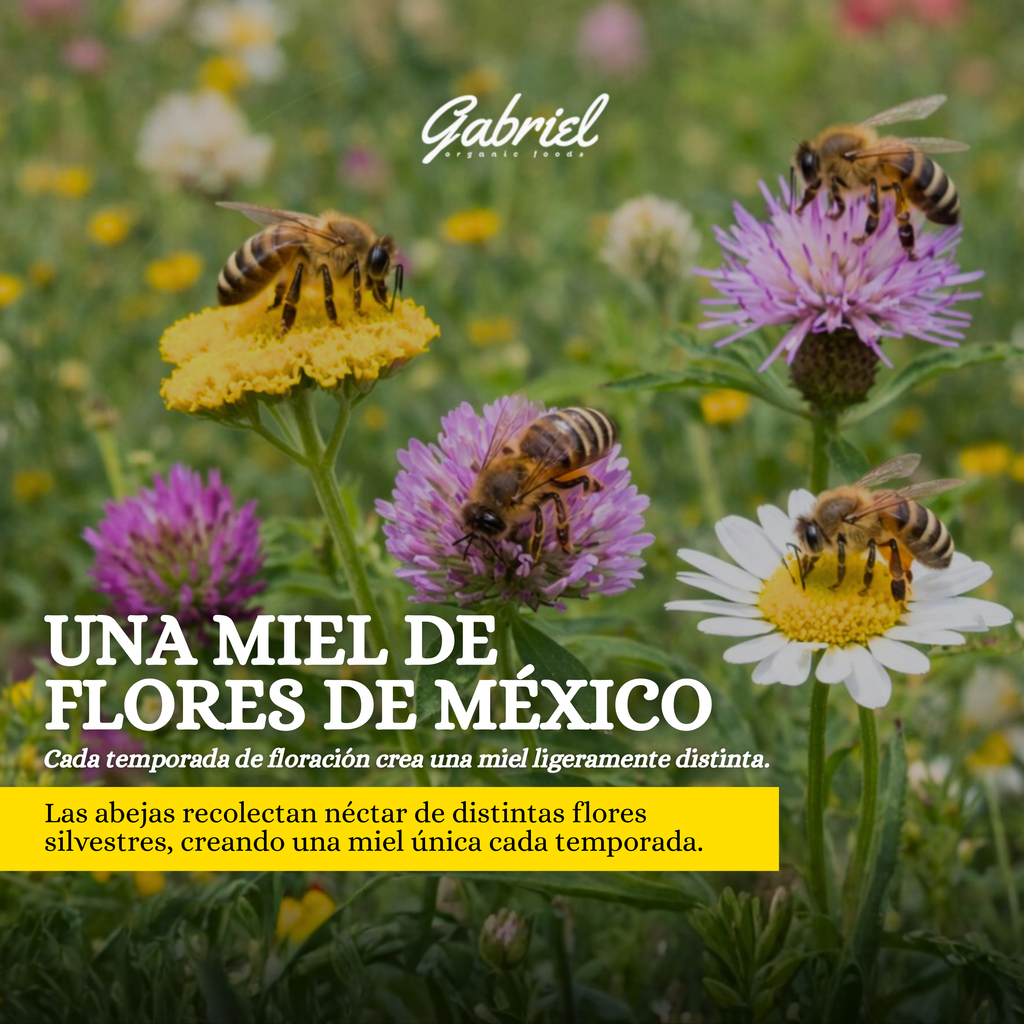 Miel de Abeja 100% Pura de Multiflor (500 g)