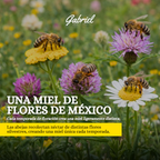 Miel de Abeja 100% Pura de Multiflor (500 g)