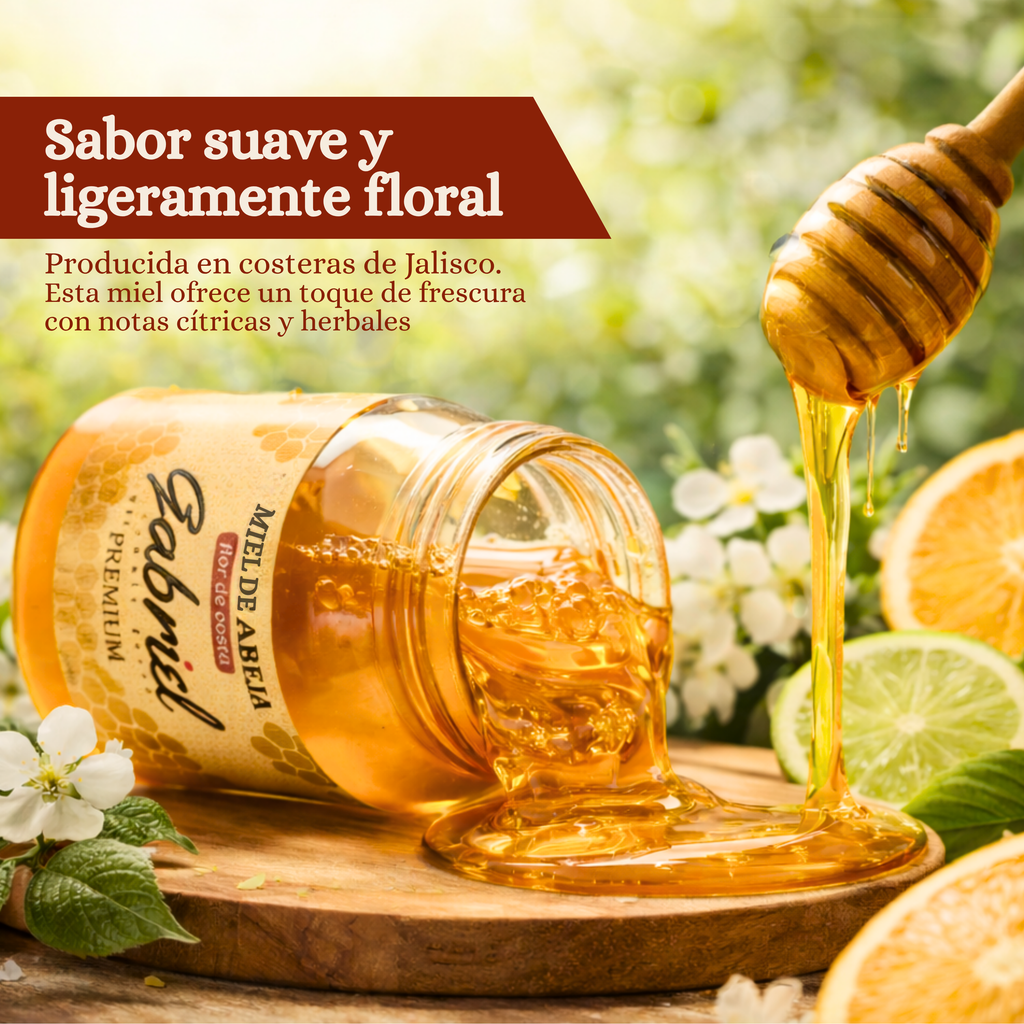 Miel de Abeja 100% Pura de Flor de Costa (500 g)
