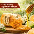 Miel de Abeja 100% Pura de Flor de Costa (500 g)