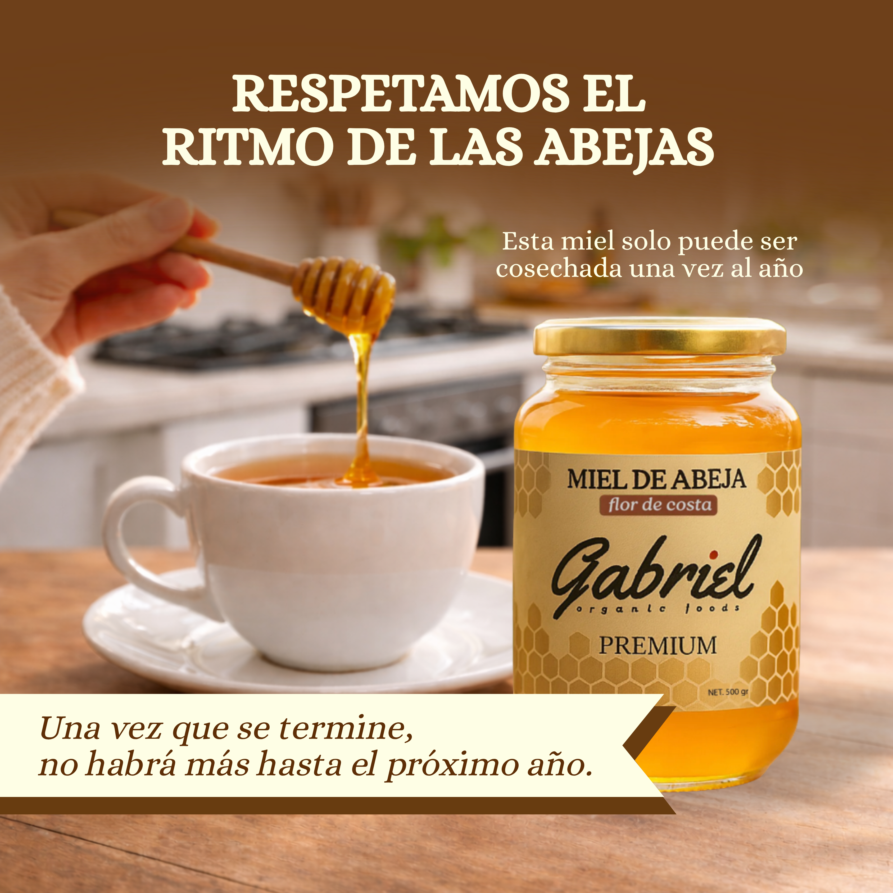 Miel de Abeja 100% Pura de Flor de Costa (500 g)