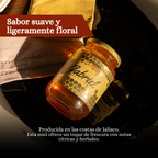 Miel de Abeja 100% Pura de Flor de Costa (500 g)
