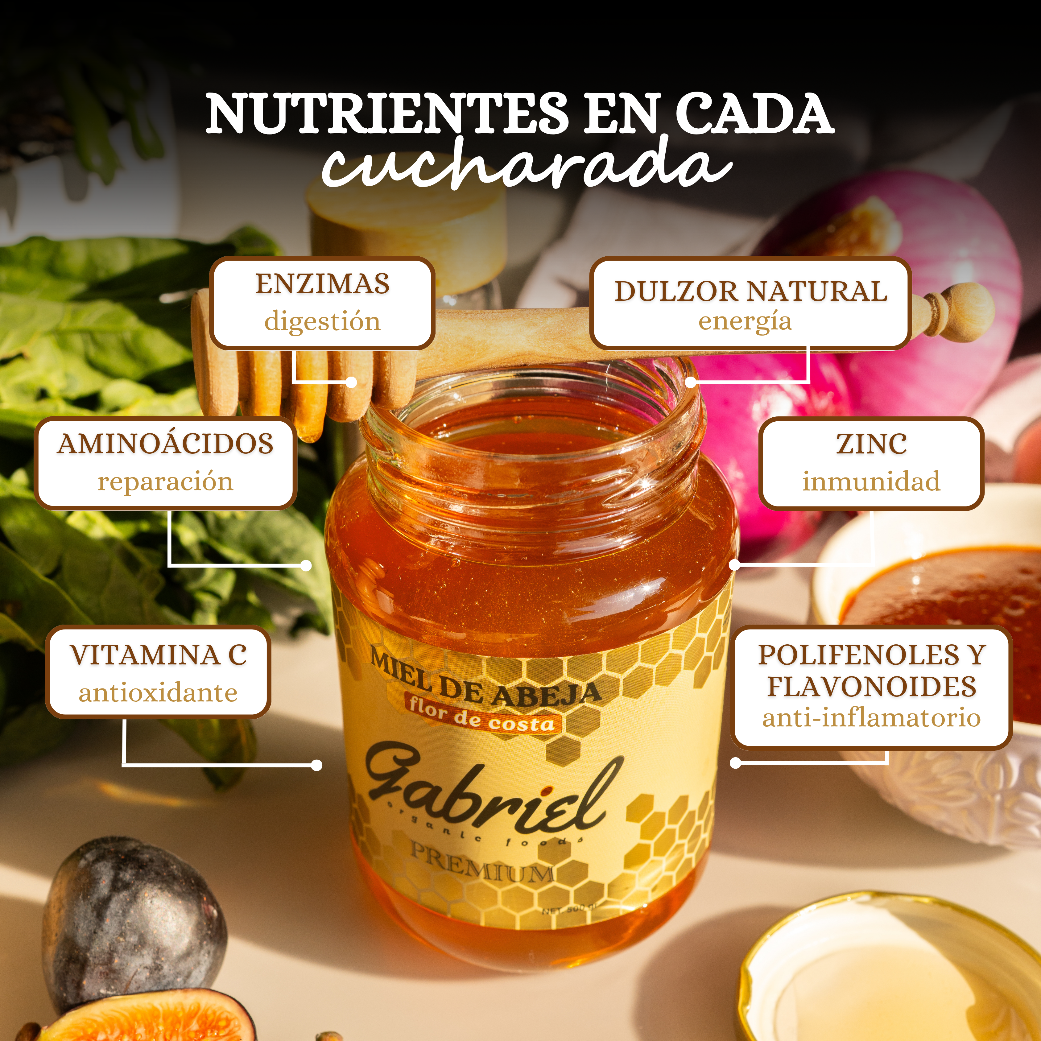 Miel de Abeja 100% Pura de Flor de Costa (500 g)