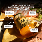 Miel de Abeja 100% Pura de Multiflor (500 g)