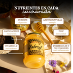 Miel de Abeja 100% Pura de Flor de Mezquite (500 g)