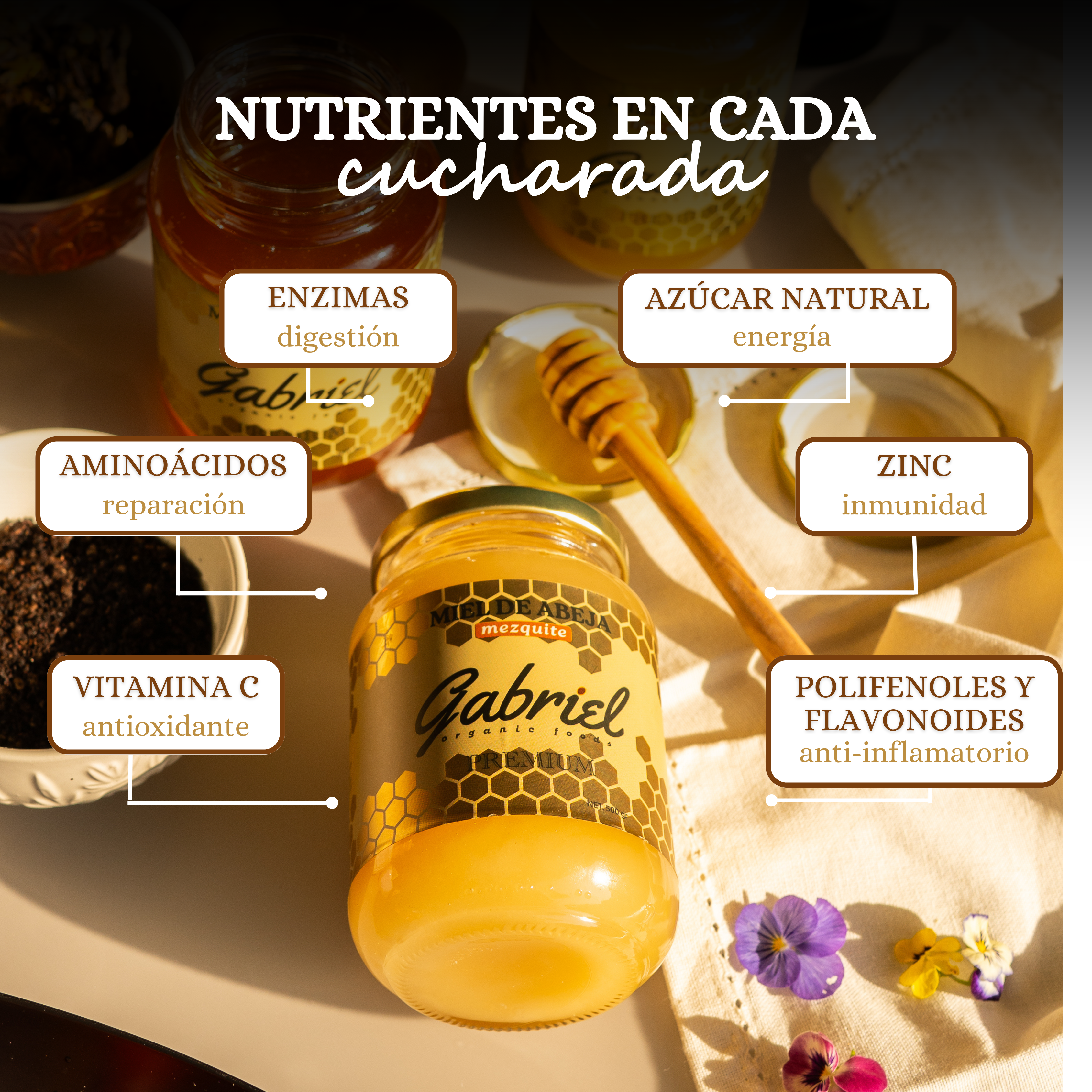 Miel de Abeja 100% Pura de Flor de Mezquite (500 g)