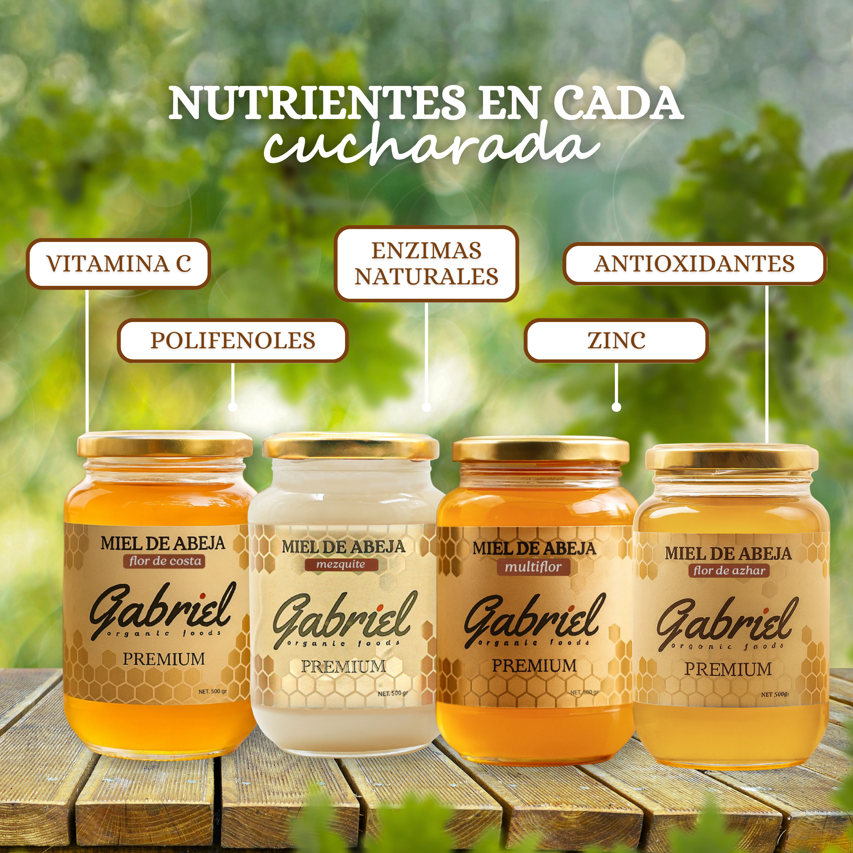 4 Tarros de Miel Pura de Abeja: Flor de Costa, Flor de Mezquite, Flor de Azahar y Multiflor