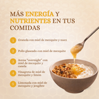 Miel de Abeja 100% Pura de Flor de Mezquite (500 g)