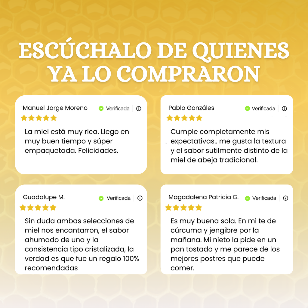 Miel de Abeja 100% Pura de Flor de Mezquite (500 g)