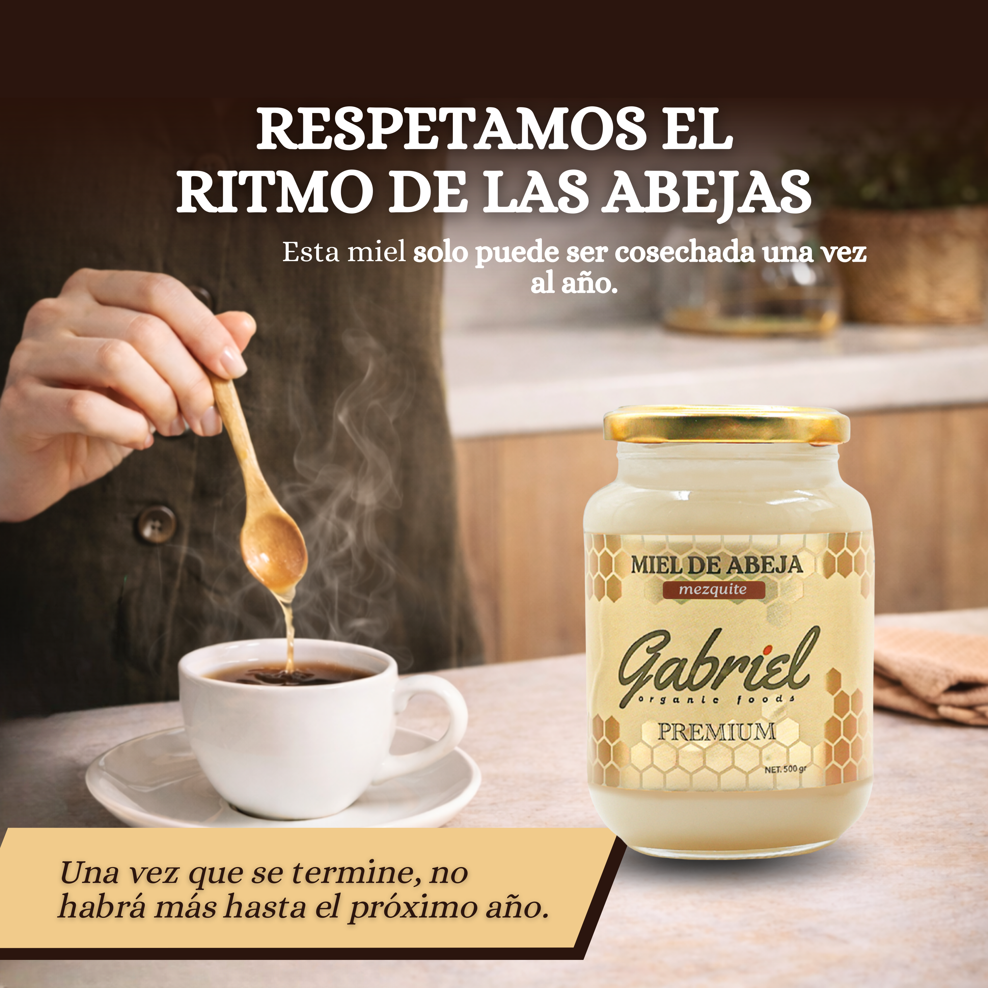 Miel de Abeja 100% Pura de Flor de Mezquite (500 g)