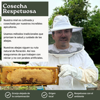 Miel de Abeja 100% Pura de Flor de Mezquite (500 g)