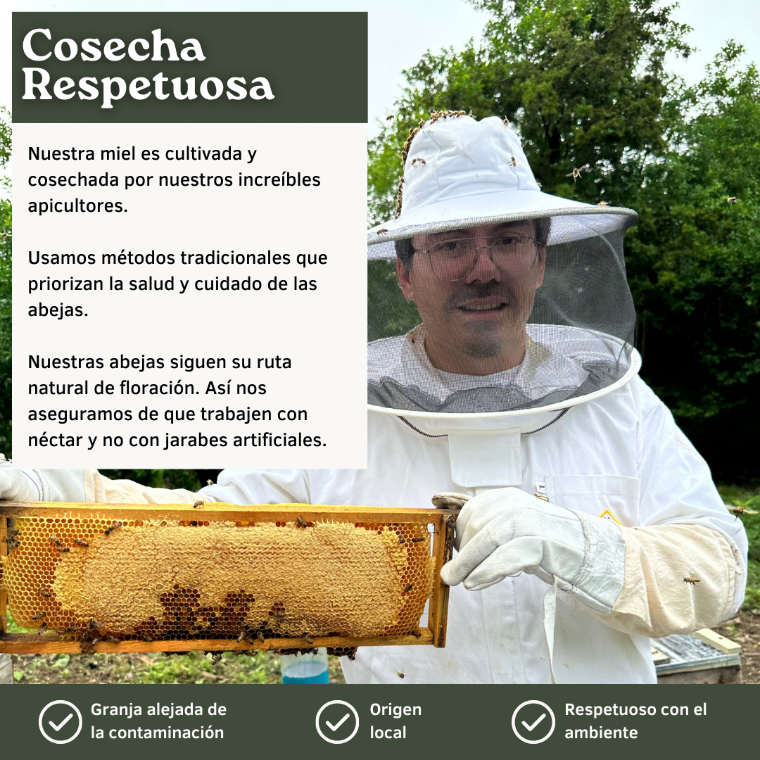 Paquete: Miel de Abeja 100% Pura de Flor de Costa, Miel de Abeja 100% Pura de Flor de Mezquite, Miel de Abeja 100% Pura Multiflor