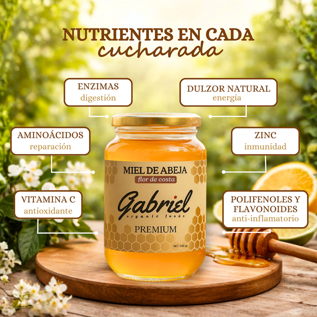 Miel de Abeja 100% Pura de Flor de Costa (500 g)