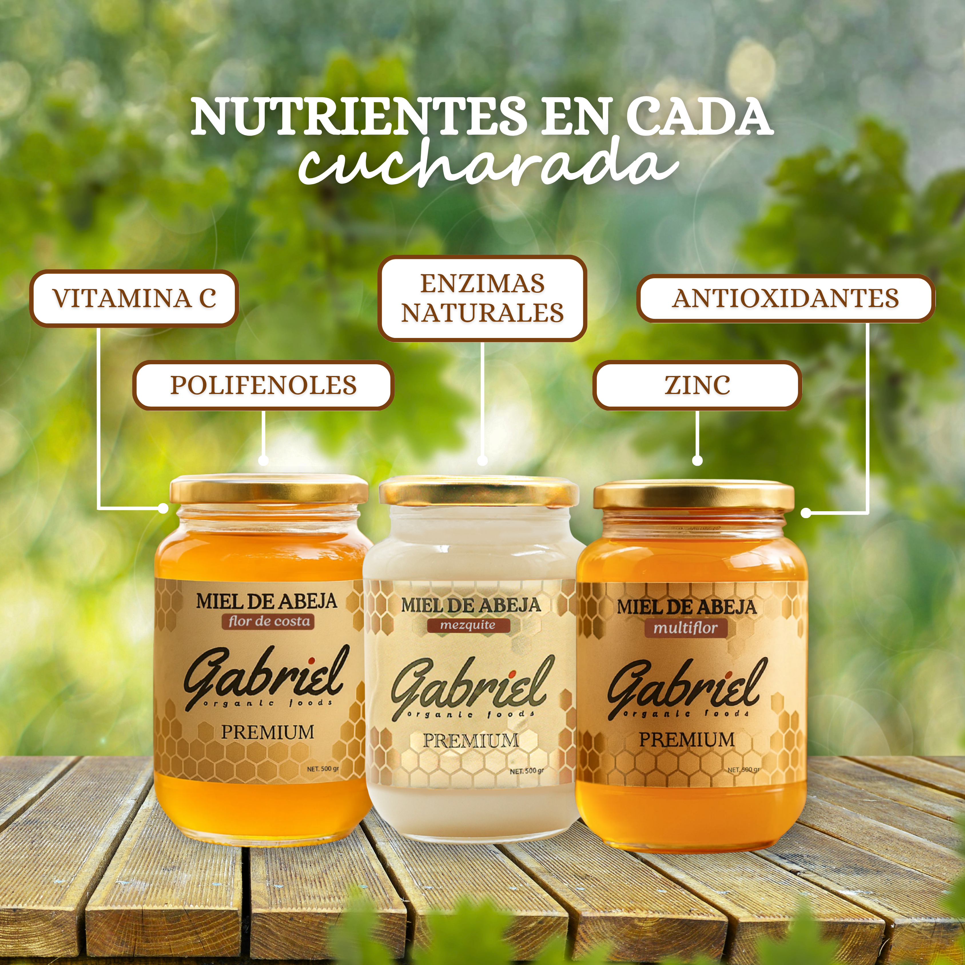 3 Tarros de Miel Pura: Flor de Mezquite, Flor de Costa y Multiflor (1.5 kg.)