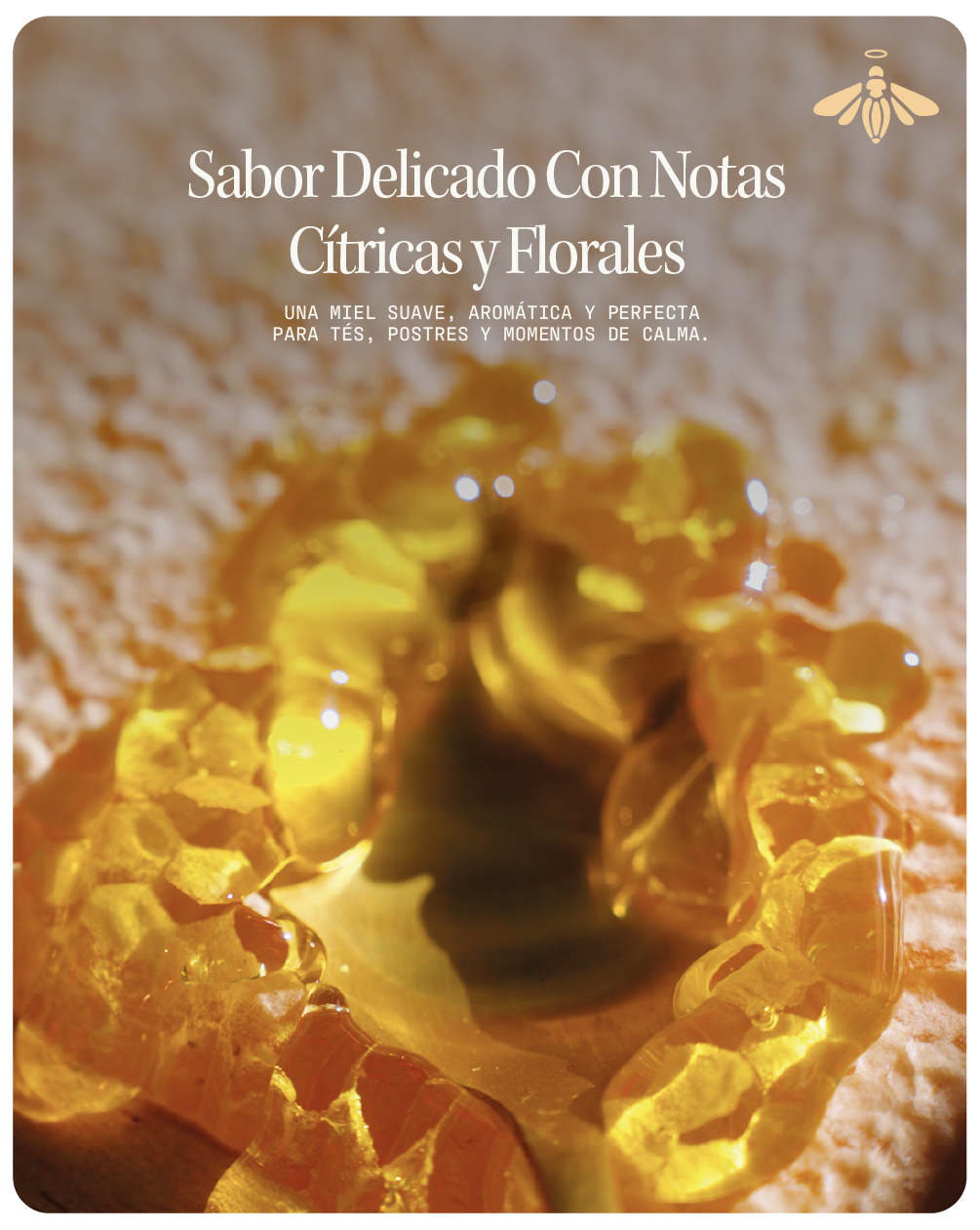 Miel de Abeja 100% Pura de Flor de Azahar (500 g)