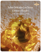 Miel de Abeja 100% Pura de Flor de Azahar (500 g)
