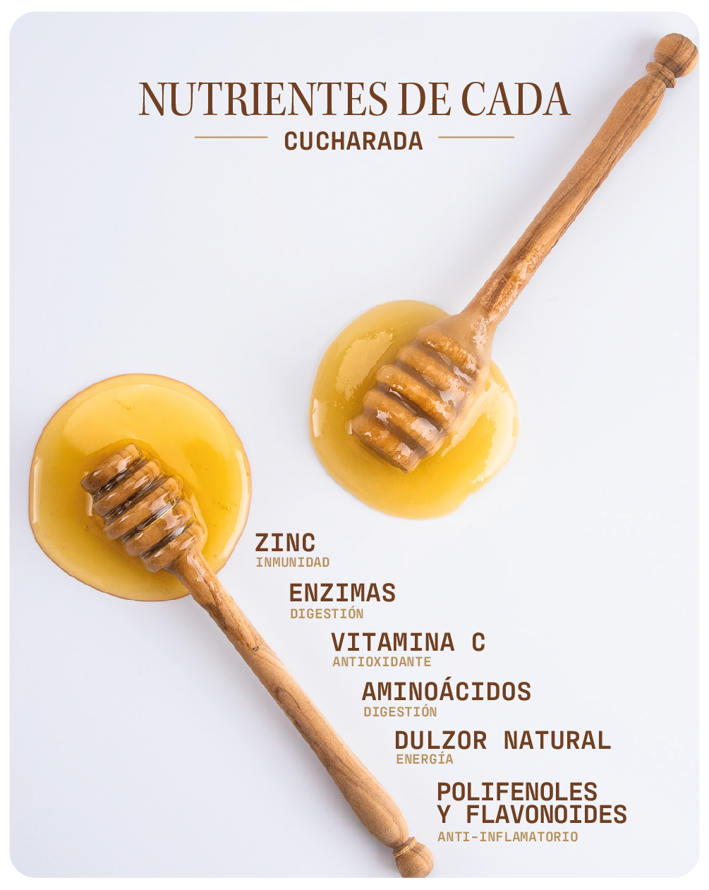 Miel de Abeja 100% Pura de Flor de Azahar (500 g)