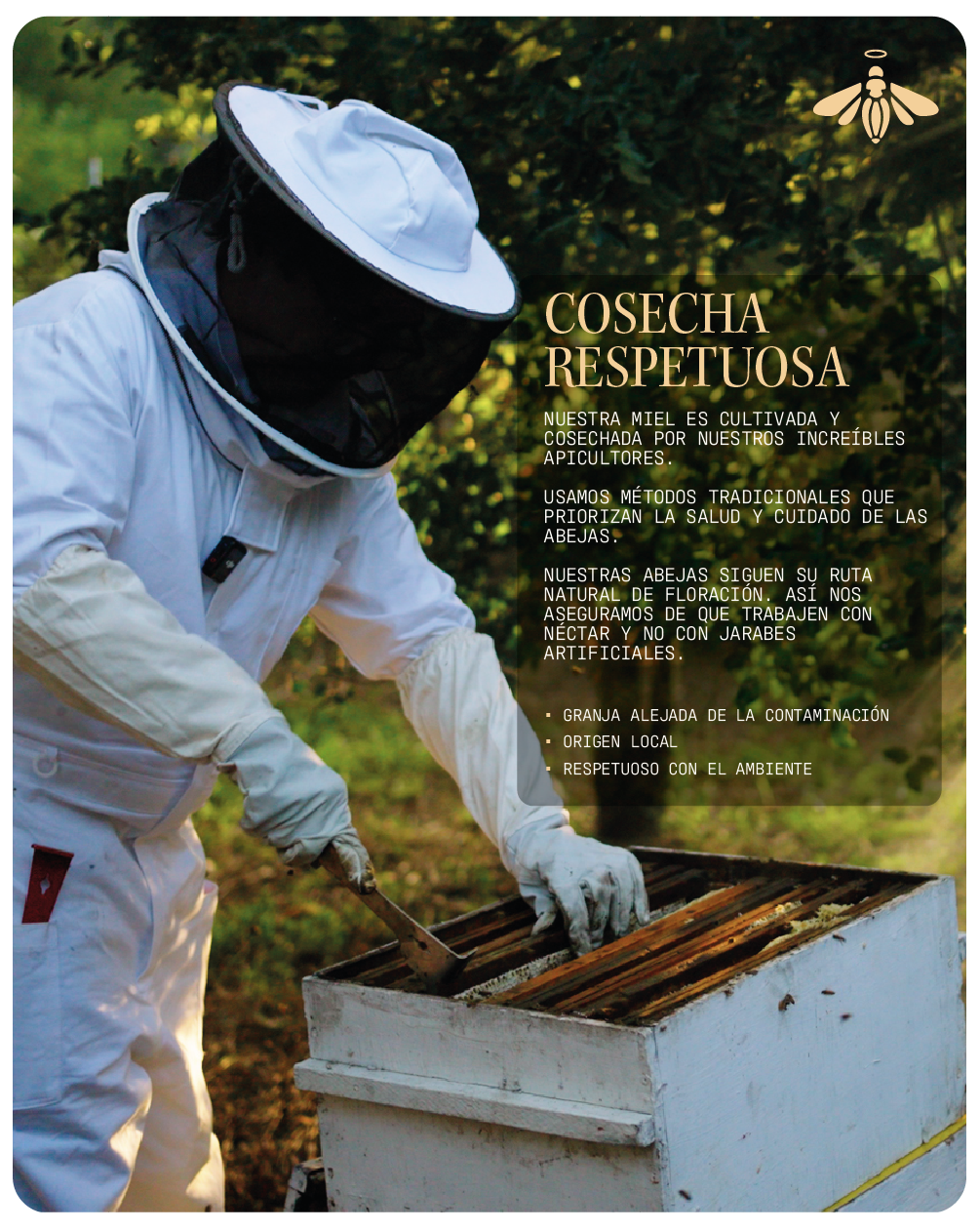 Miel de Abeja 100% Pura de Flor de Azahar (500 g)