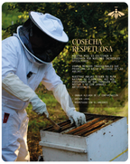 Miel de Abeja 100% Pura de Flor de Azahar (500 g)