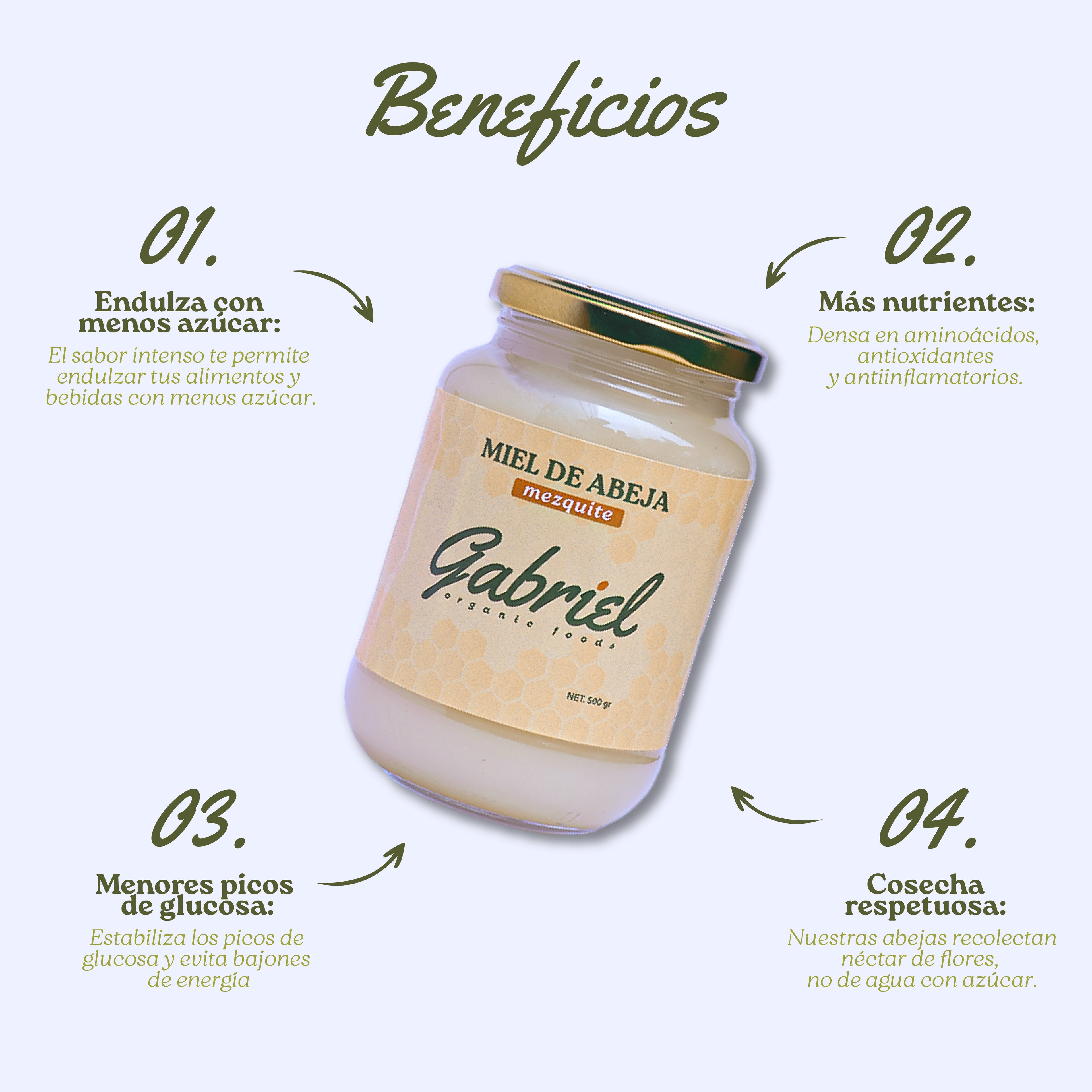 Miel de Abeja 100% Pura de Flor de Mezquite (500 g)