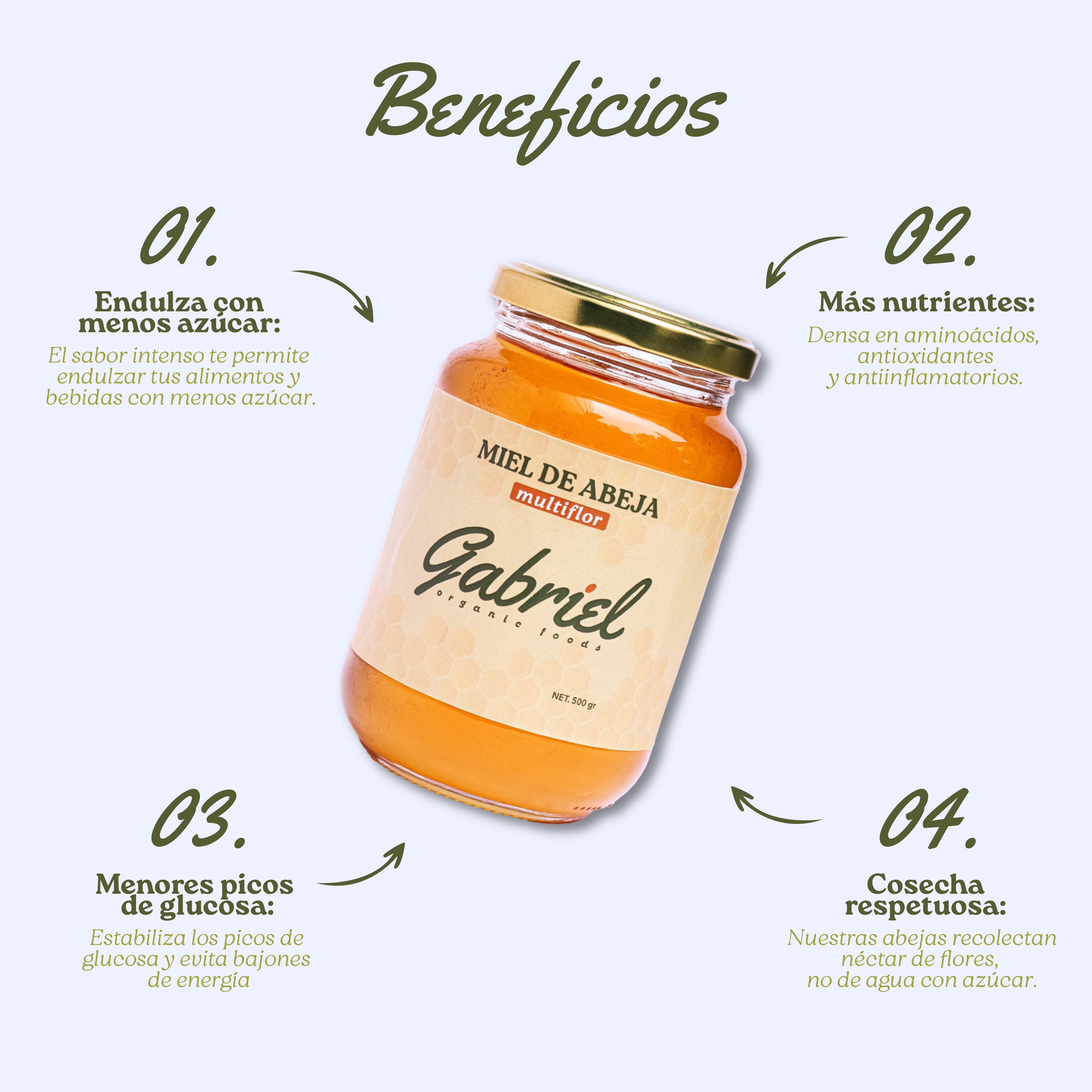 Miel de Abeja 100% Pura de Multiflor (500 g)