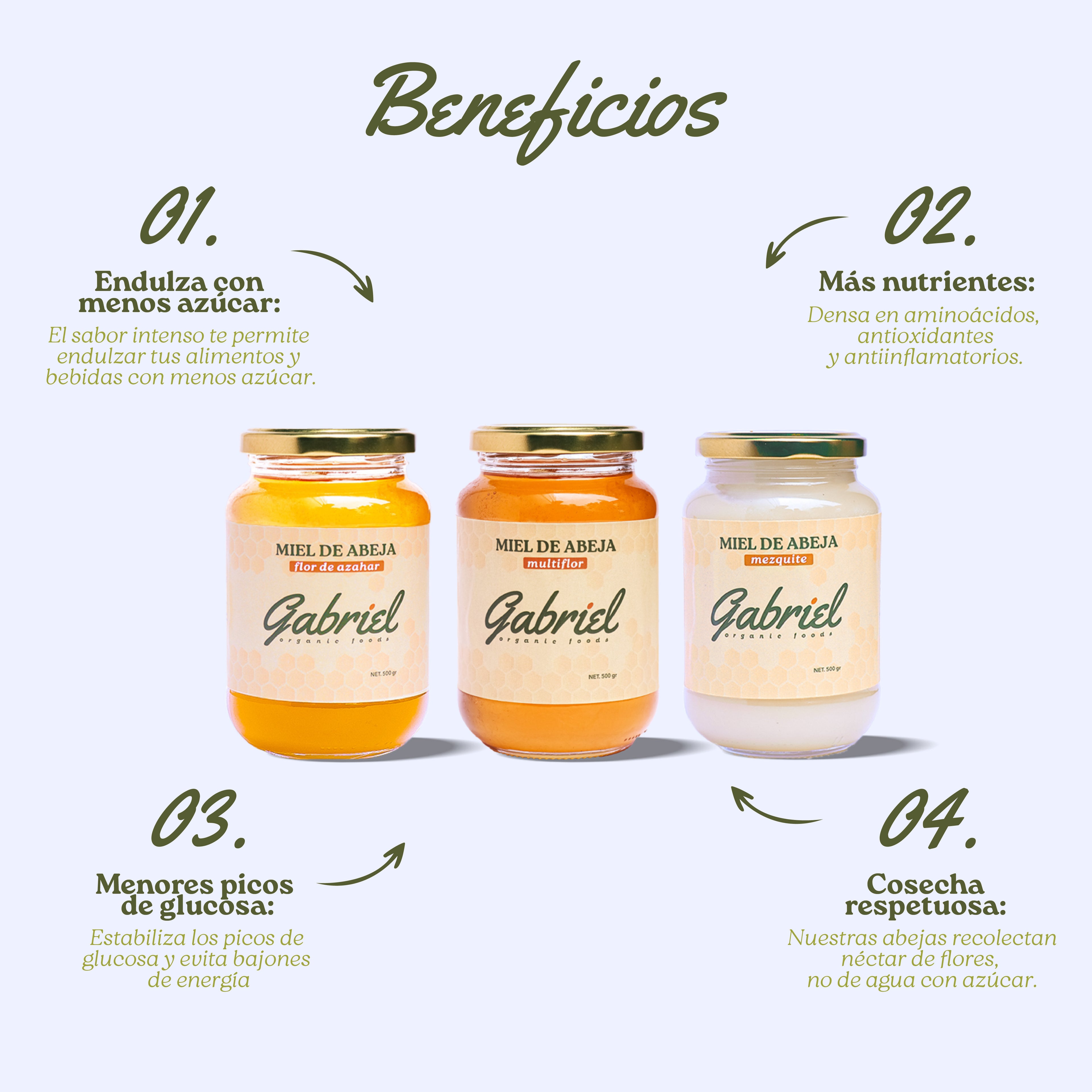 Paquete: Miel de Abeja 100% Pura de Flor de Costa, Miel de Abeja 100% Pura de Flor de Mezquite, Miel de Abeja 100% Pura Multiflor
