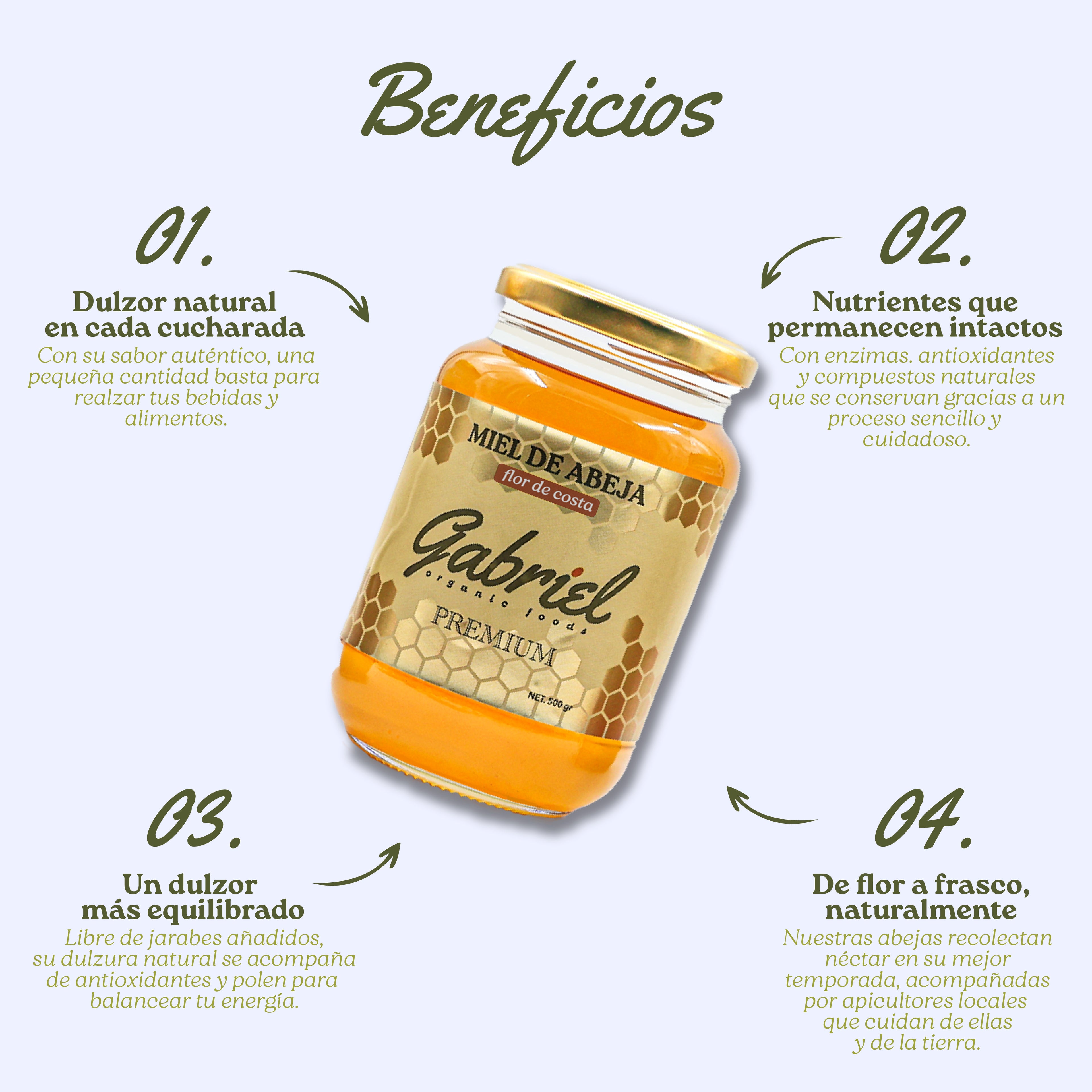 Miel de Abeja 100% Pura de Flor de Costa (500 g)