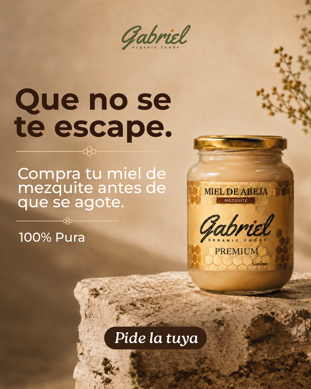 Miel de Abeja 100% Pura de Flor de Mezquite (500 g)