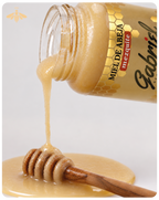 Miel de Abeja 100% Pura de Flor de Mezquite (500 g)