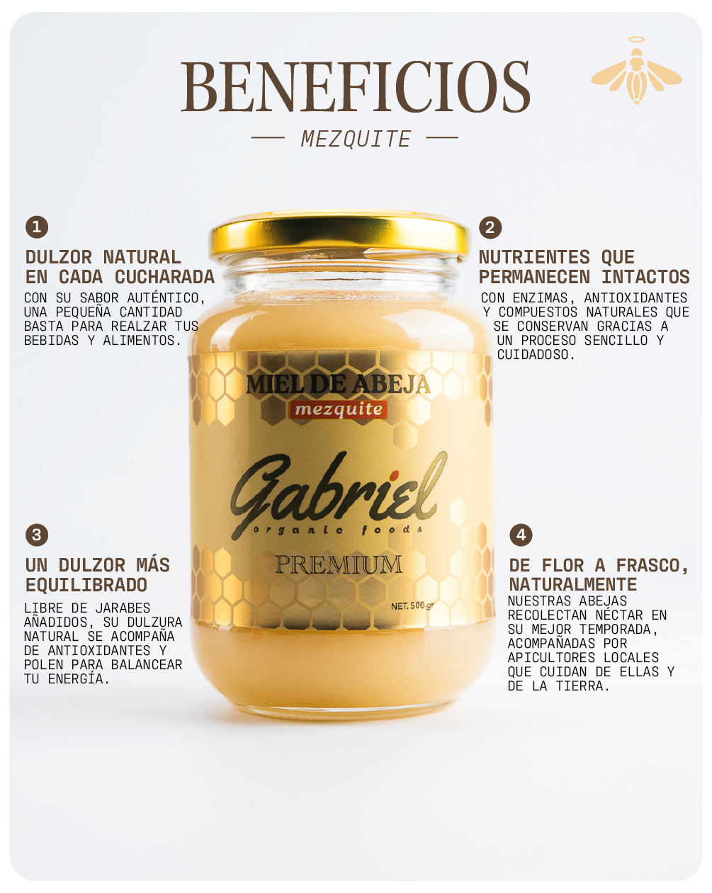 Miel de Abeja 100% Pura de Flor de Mezquite (500 g)