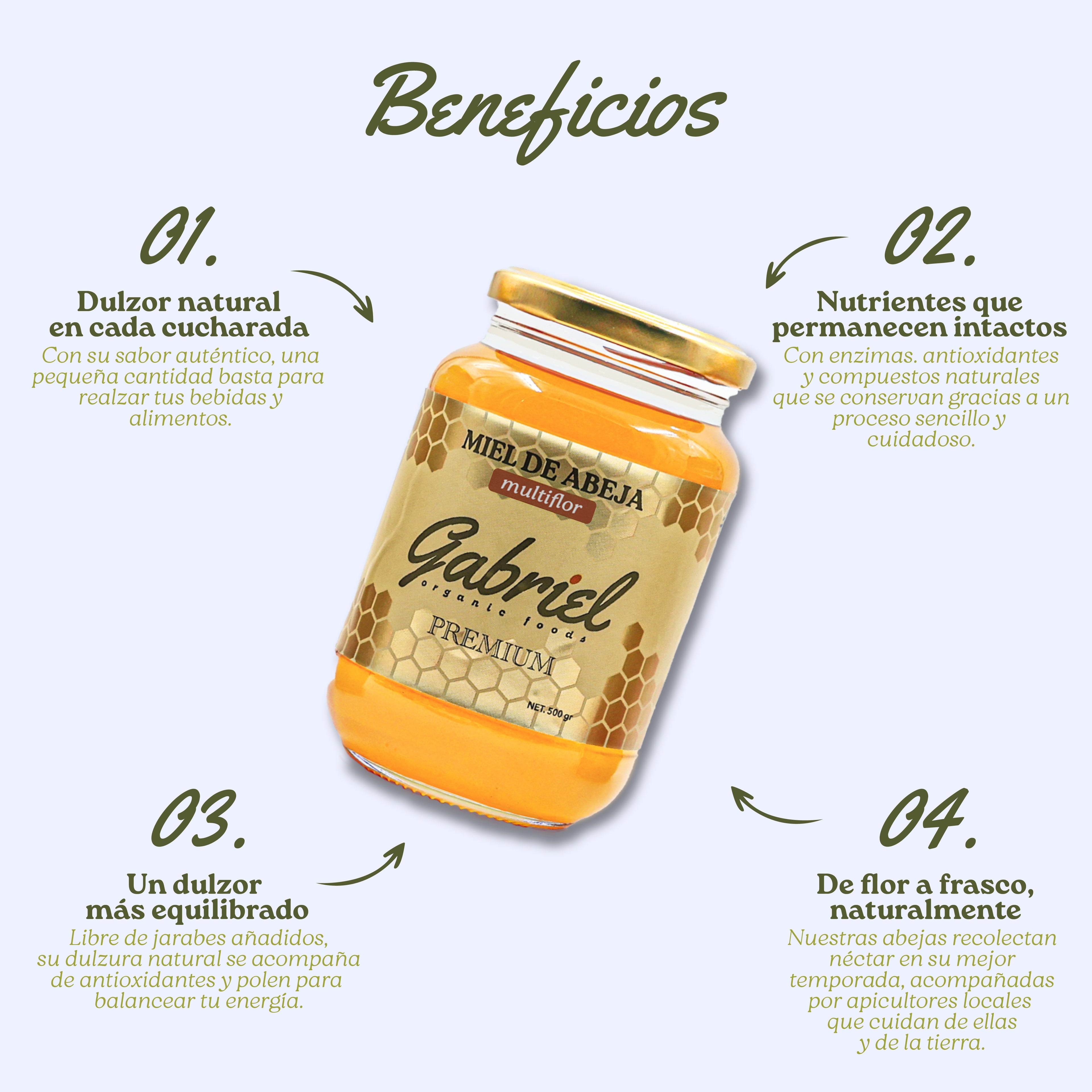 Miel de Abeja 100% Pura de Multiflor (500 g)