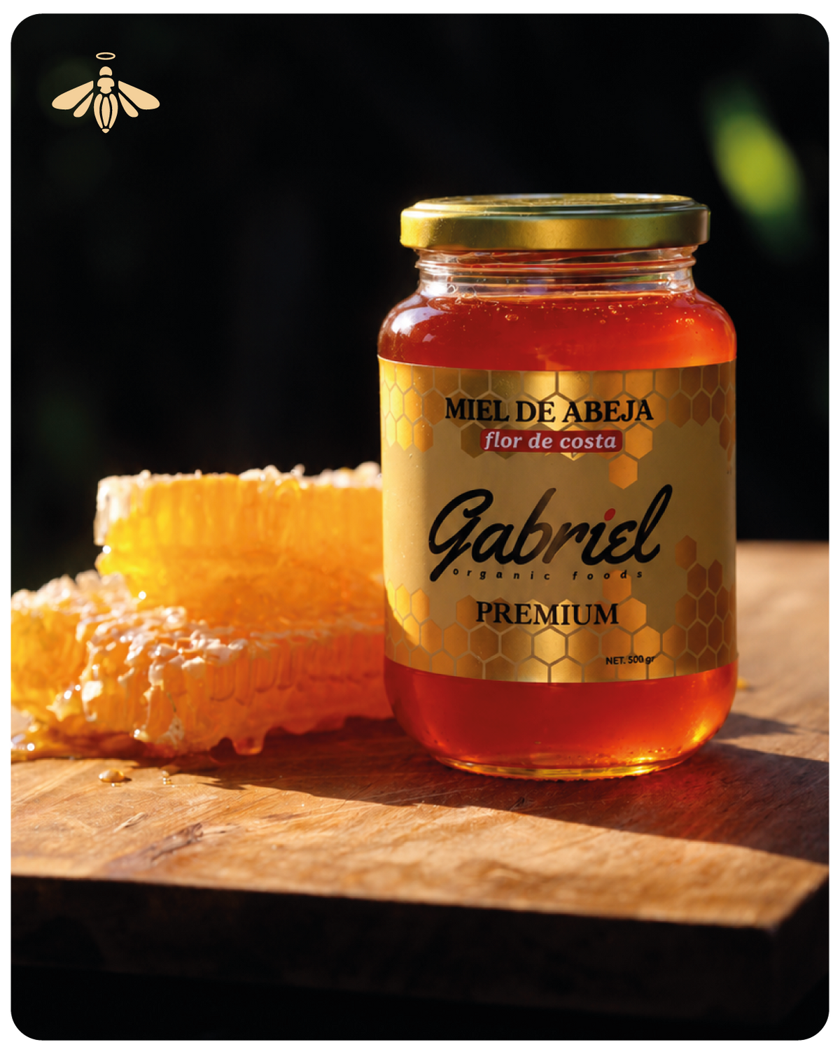 Miel de Abeja 100% Pura de Flor de Costa (500 g)