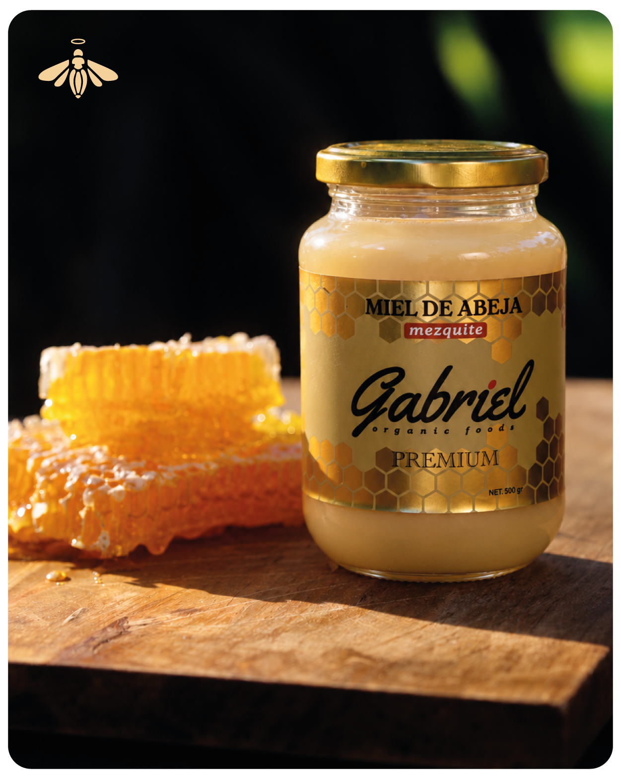 Miel de Abeja 100% Pura de Flor de Mezquite (500 g)