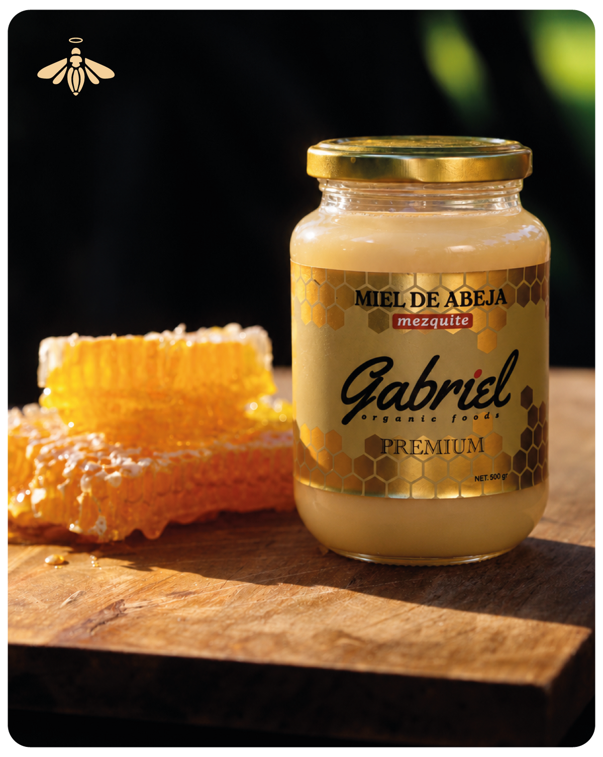 Miel de Abeja 100% Pura de Flor de Mezquite (500 g)