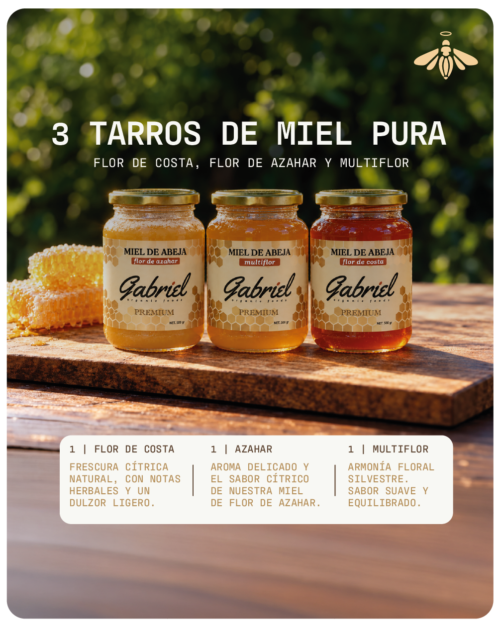Paquete de 3 Tarros de Miel Pura: Flor de Azahar, Flor de Costa y Multiflor (1.5 kg.)